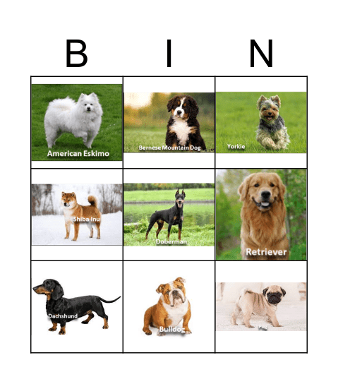 Dogs Bingo Card