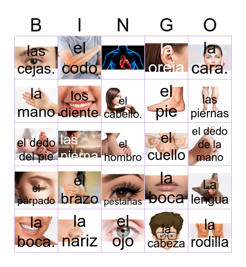 Los partes del cuerpo Bingo Card
