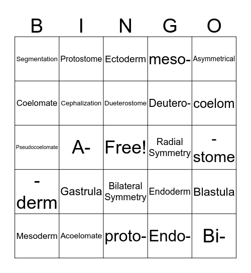 Classification Terms, Prefixes and Suffixes Bingo Card