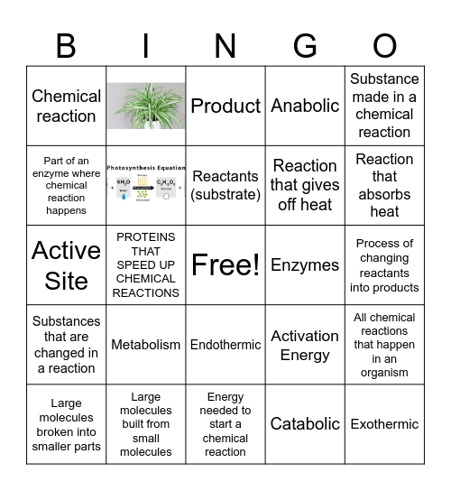 Biochemical Reactions Bingo Card