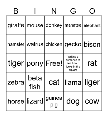 Animals Bingo Card