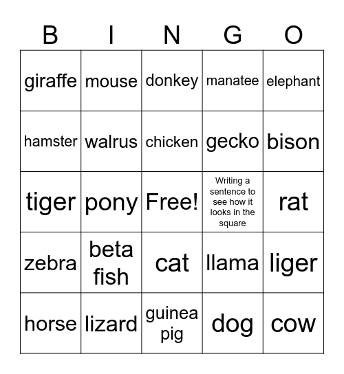 Animals Bingo Card