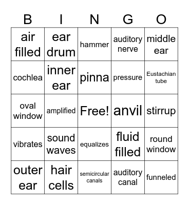 The Ear Bingo Card