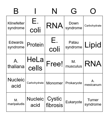 2107 Review Bingo Card