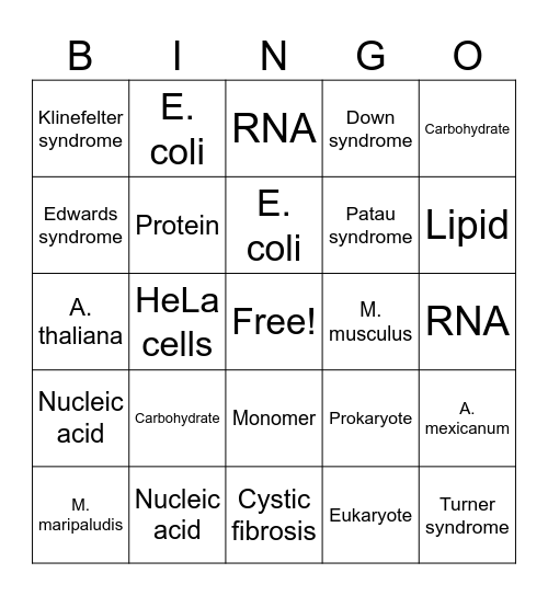 2107 Review Bingo Card