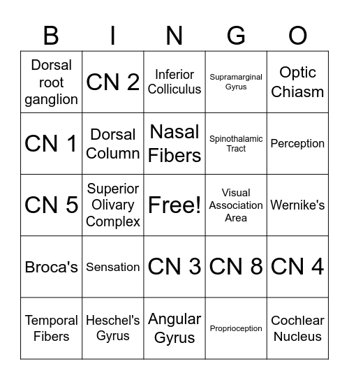 Neuro 1 Final Review BINGO Card