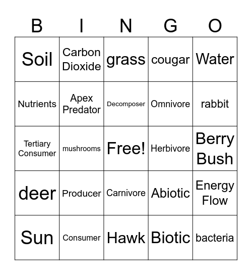 Flow of Energy in Ecosystems Bingo Card