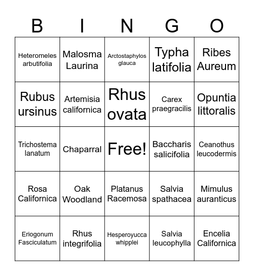 California Native Plant Bingo Card