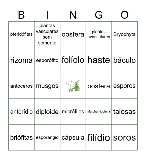 Briófitas & Pteridófitas Bingo Card