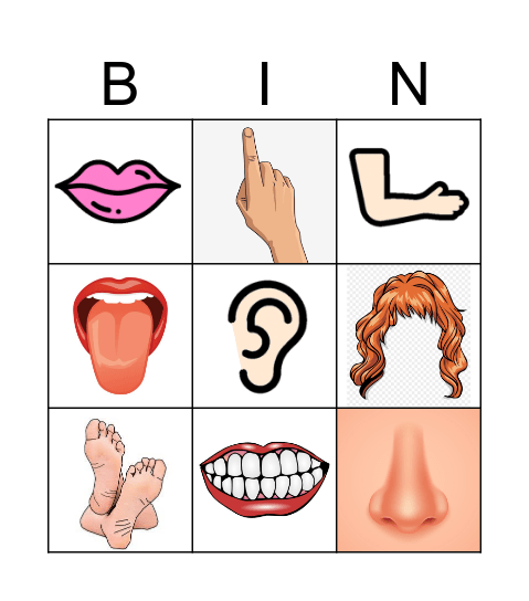 Body parts Bingo Card