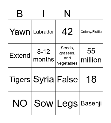 Animal Science Bingo Card