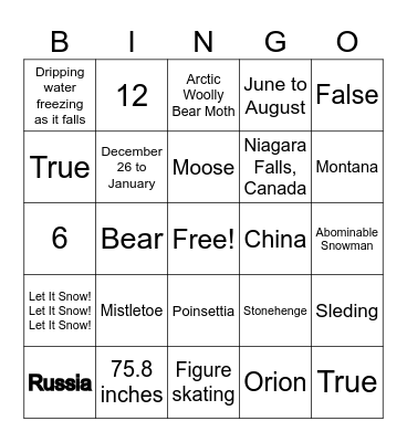 Winter Bingo Card