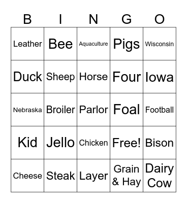 Animal Facts BINGO Card