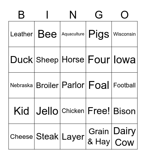 Animal Facts BINGO Card