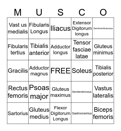 MUSCO Bingo Card