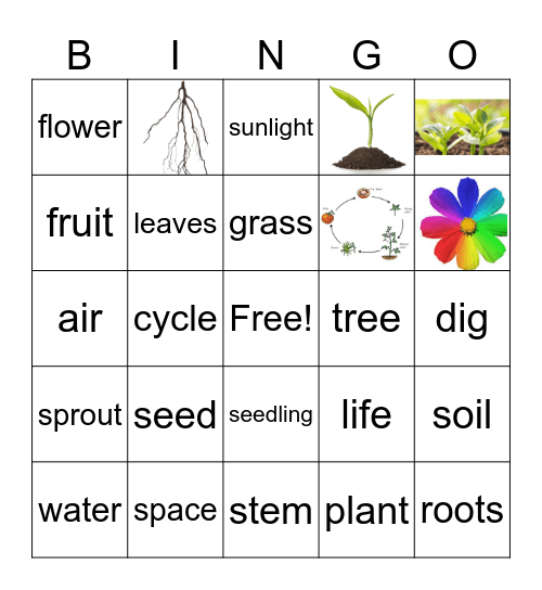 PLANTS Bingo Card