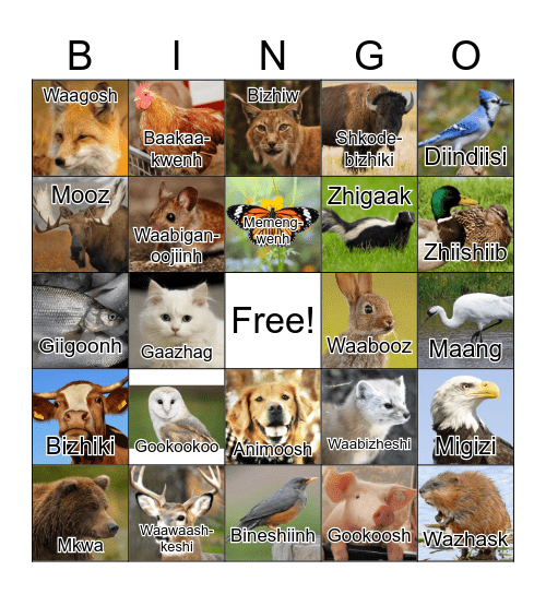 Bakinaage! Bingo Card