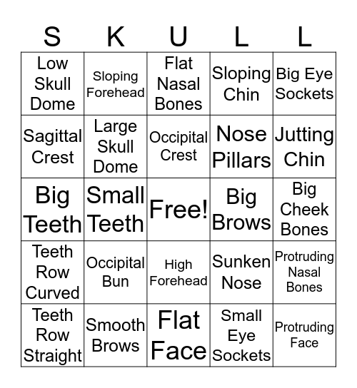 Skulls Bingo Card