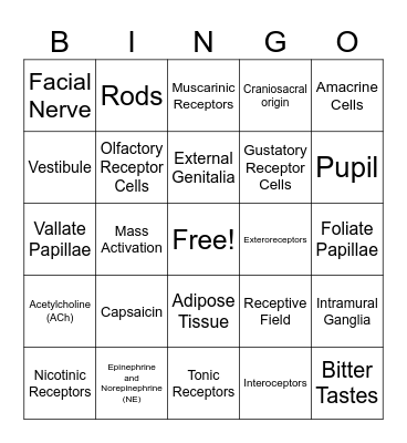 Exam 5 Bingo! Bingo Card