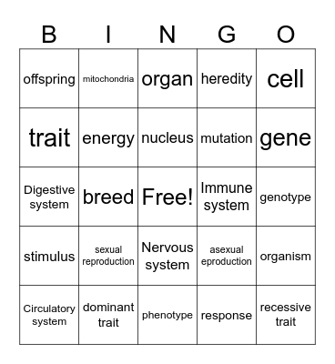 Vocab Bingo Card