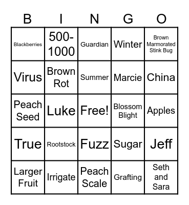 Bingo Card