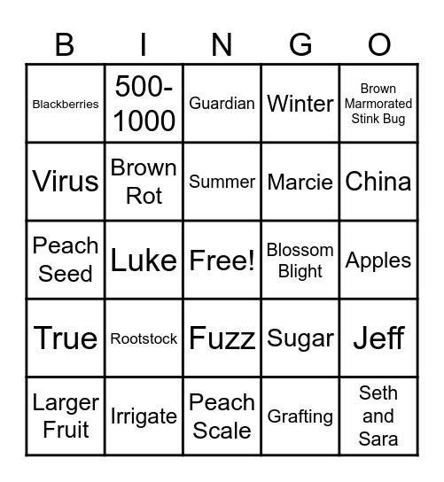 Bingo Card