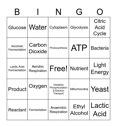 Energy for Life Function Bingo Card