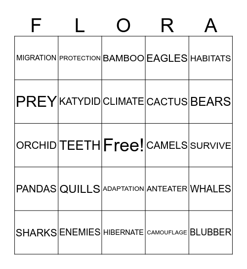 FLORA/FAUNA ADAPTATIONS Bingo Card