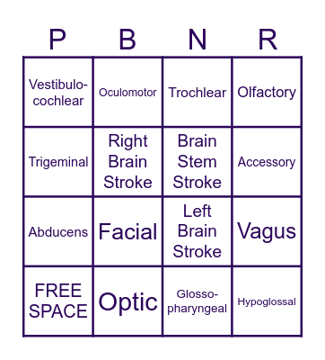 Cranial Nerve Bingo Card