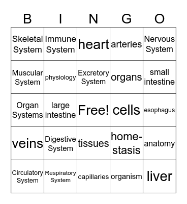 The Human Body System Bingo Card