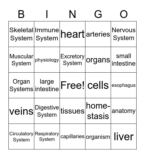 The Human Body System Bingo Card