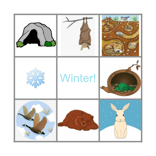 Hibernation Bingo Card