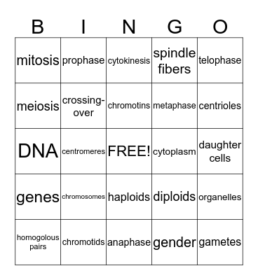 Cell Cycle Bingo Card