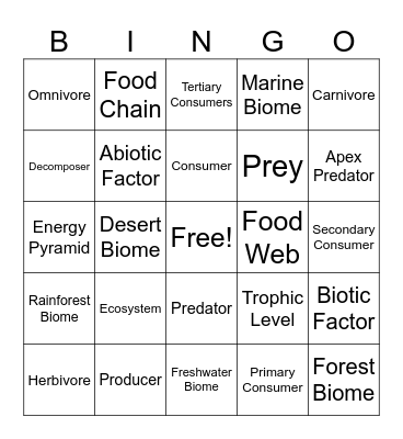 Food Webs Bingo Card