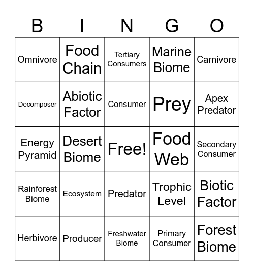 Food Webs Bingo Card