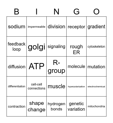 A&P Bingo Card
