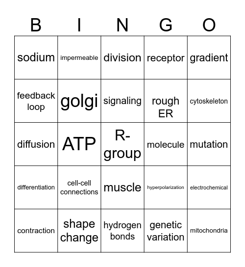 A&P Bingo Card