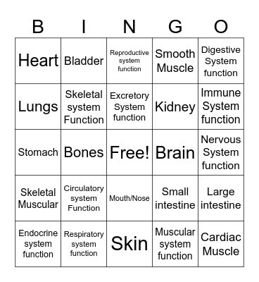 Body Systems Bingo Card