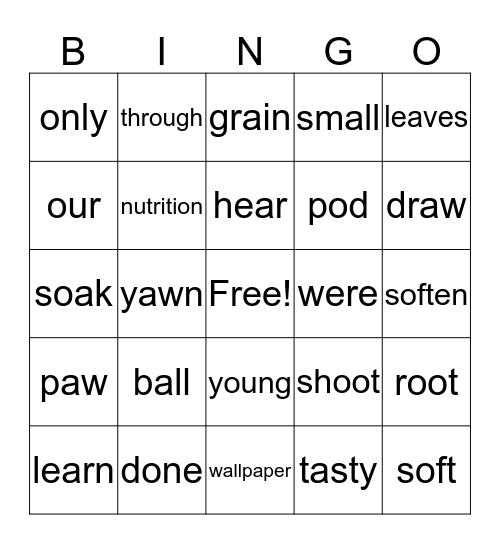 2nd Grade Lesson 25 Bingo Card