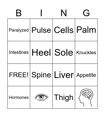 HUMAN BODY Bingo Card
