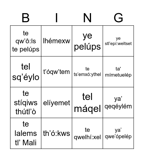 p'ilcho Bingo Card