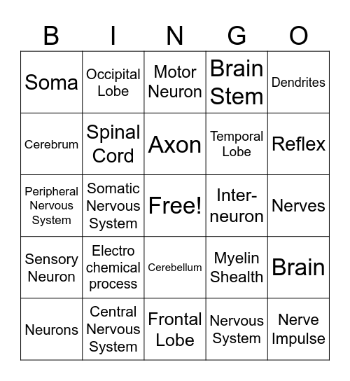 Nervous System Bingo Card