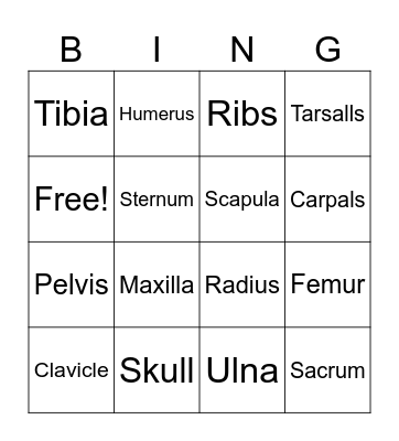 Climate and weather Bingo Card