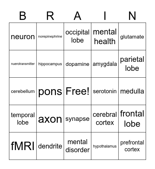 Neuroscience Bingo Card