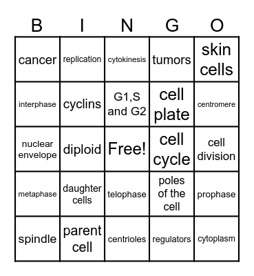 Mitosis Bingo Card