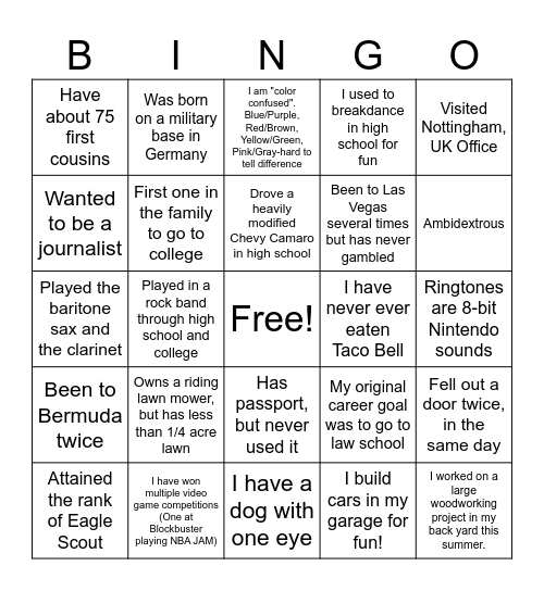 Fun facts about team members Bingo Card