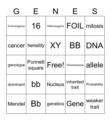 LT Genetics Bingo Card