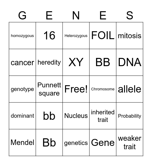LT Genetics Bingo Card
