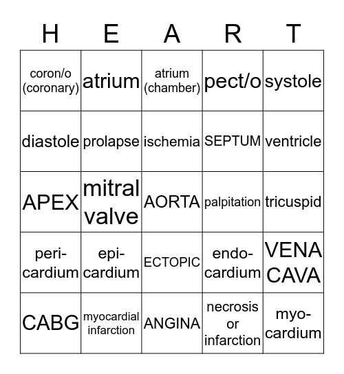 Medical Terminology Cardiovascular System 2 Bingo Card