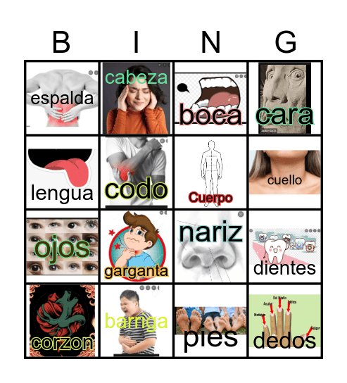 Partes del cuerpo Bingo Card